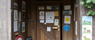 Въезд в экологические зоны: стикеры и виньетки — что нужно знать водителю